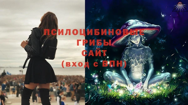 стафф Алексин