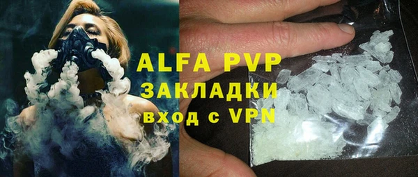 стафф Алексин