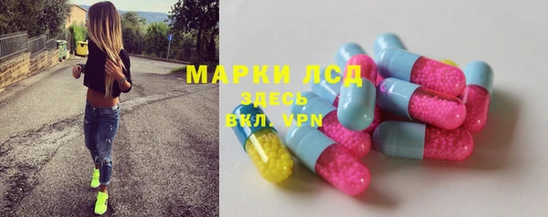 apvp Алзамай