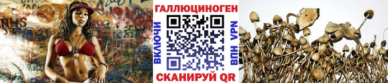 Псилоцибиновые грибы Psilocybe  shop официальный сайт  Жирновск 